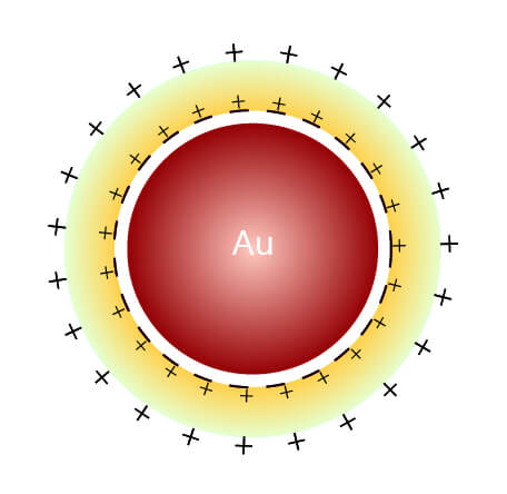 膠體金結(jié)構(gòu)圖