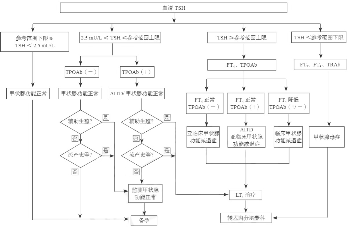 孕前血清TSH篩查、診斷和管理流程