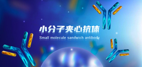 南京歐凱生物成功突破小分子夾心抗體技術(shù)開發(fā)壁壘!!!