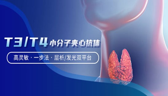 【小分子夾心法】甲功T3/T4，高靈敏&一步法